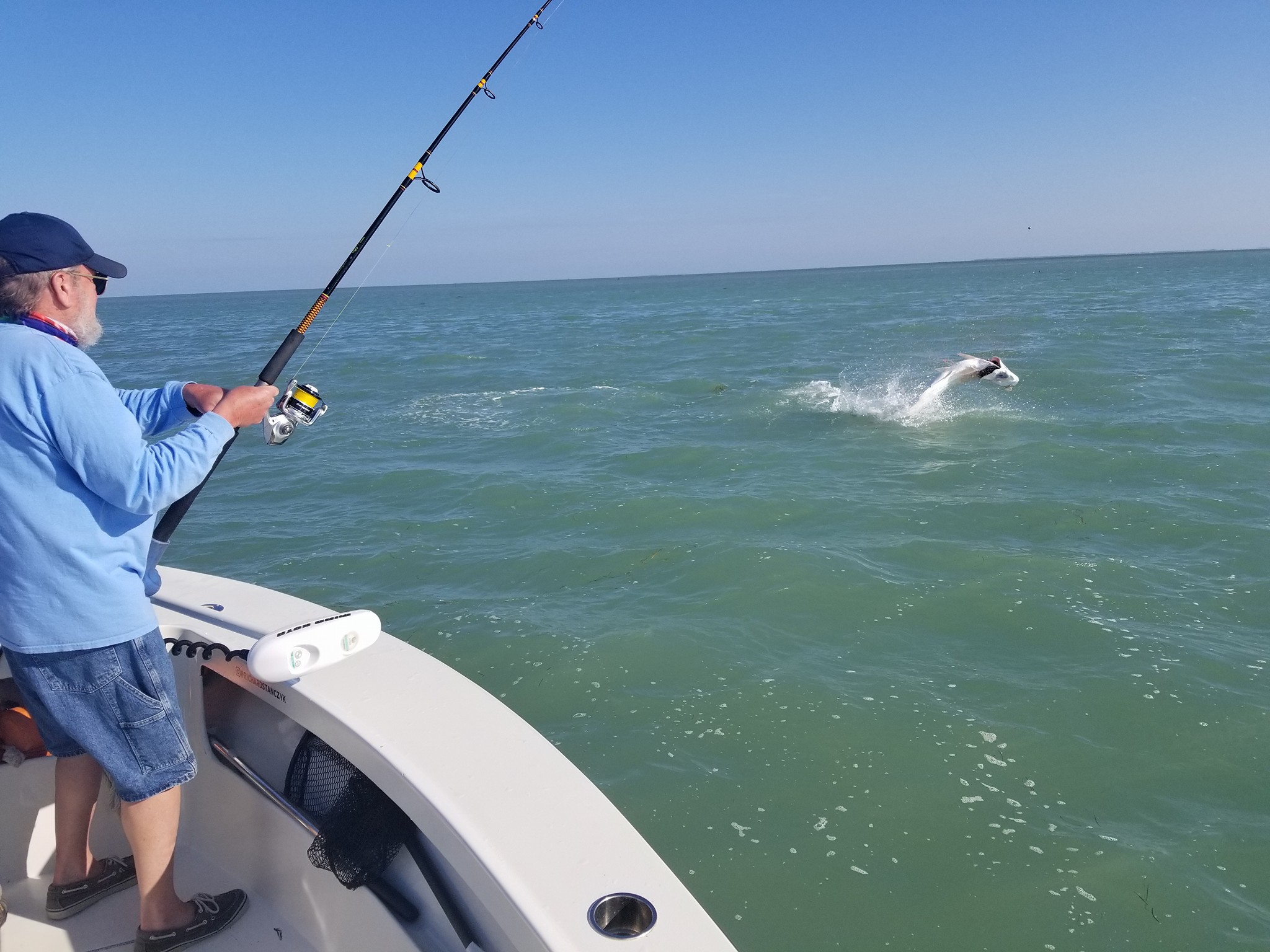 Tarpon Islamorada Tarpon Fishing