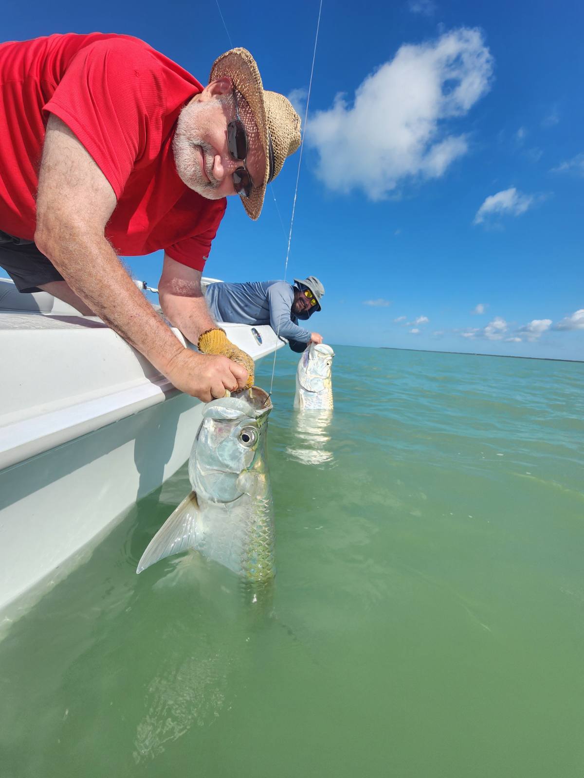 Early June Tarpon Fishing Report in Islamorada 2024 - Capt. Rick